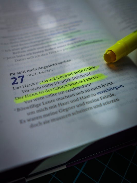 STAEDTLER Textsurfer® Gel – Bibel-Textmarker